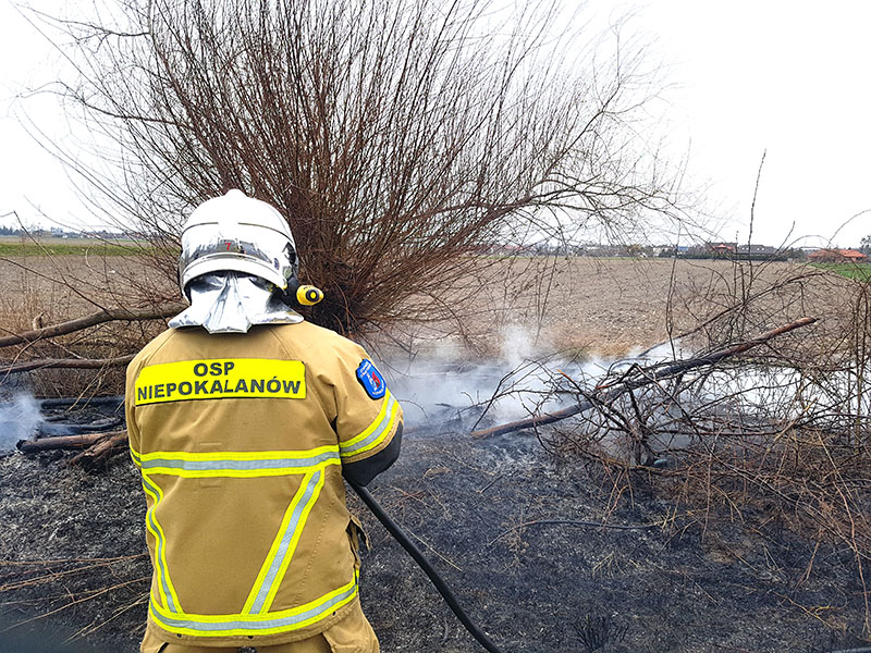 images/AKCJE/20200329 (5).jpg